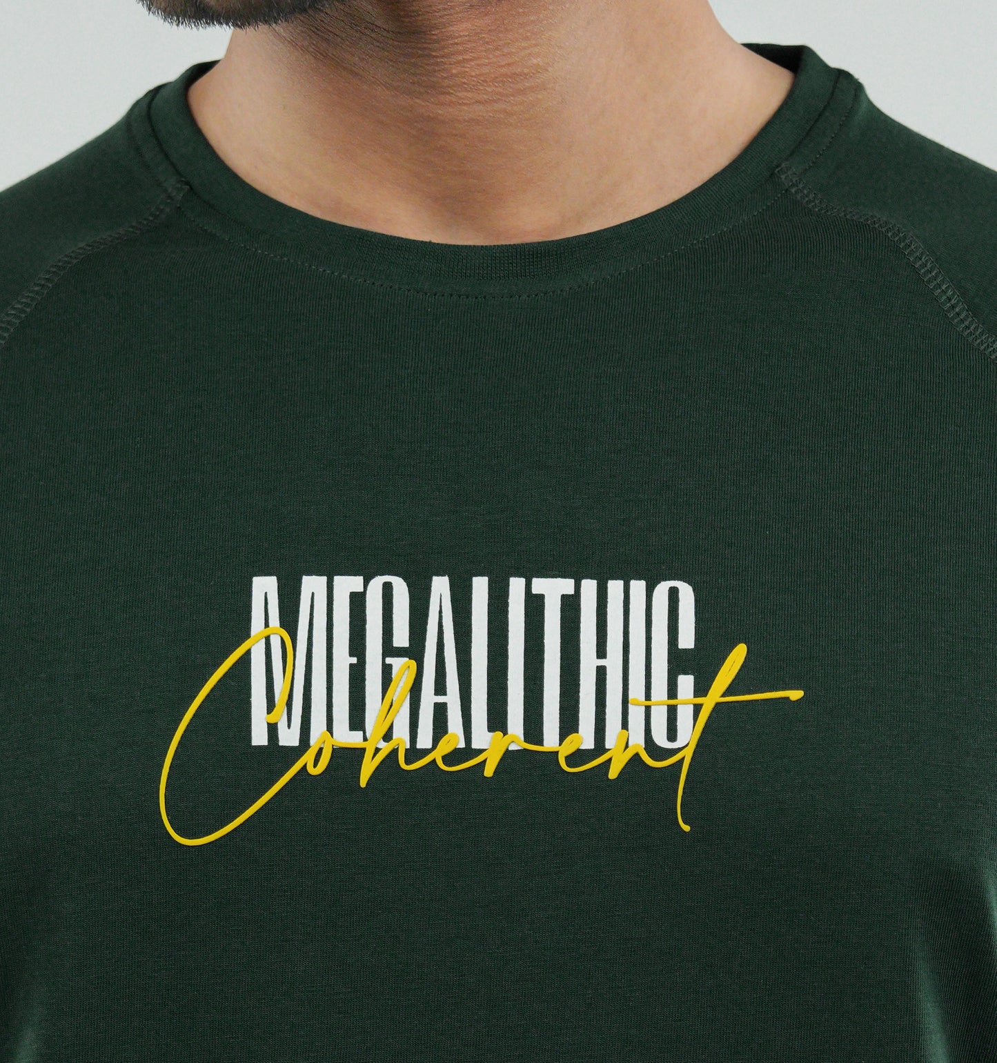 Men's Premium Full Sleeve T-Shirt - Megalithic Coherent